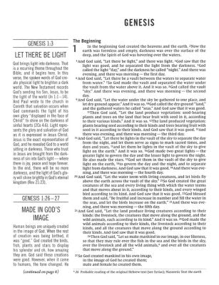 NIV The Jesus Bible Comfort Print gray cloth over board. 9.5-point text size