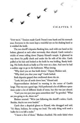 Boo Hoo - A Novel