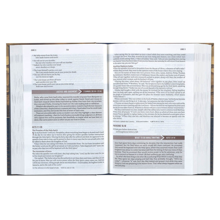 NLT Everyday Devotional Bible for Men Gold and Navy Mountain View Hardcover 10 point font